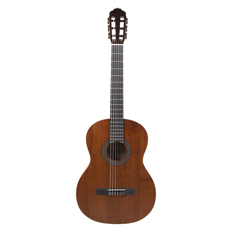 Фото Гитара акустическая Meridaextrema PA43TV-TB с чехлом