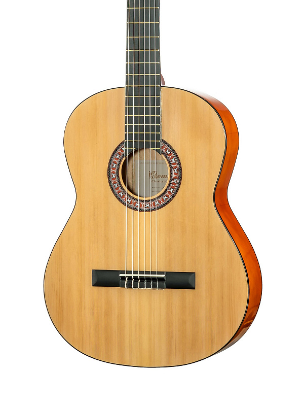 LC-3910 Классическая гитара HOMAGE в магазине Music-Hummer