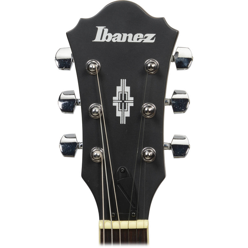 Фото IBANEZ AS53-TKF