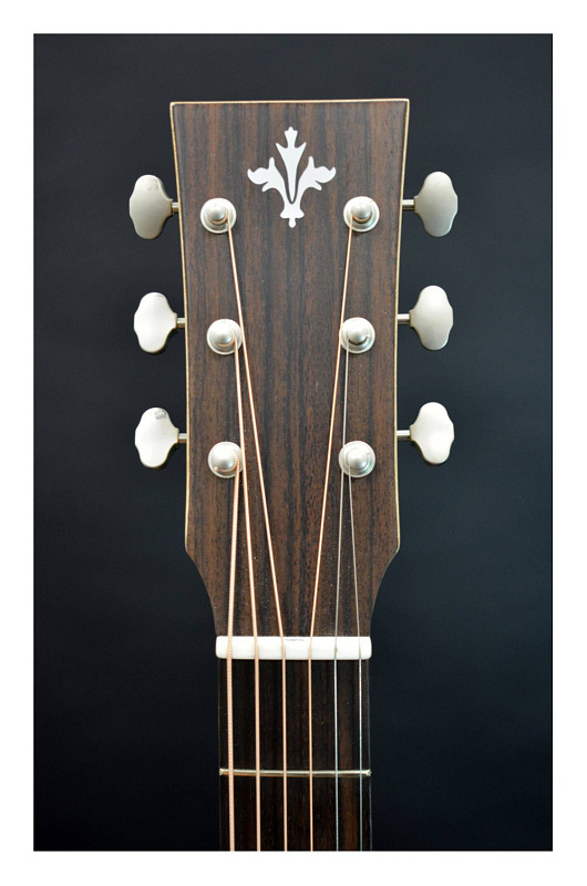 Фото Акустическая гитара TYRONE SILVER OM Walnut