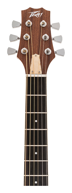 Фото Электроакустическая гитара PEAVEY DW 2 CE