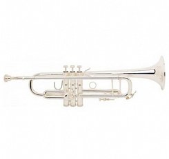 Труба Bb BACH 180S43 Stradivarius