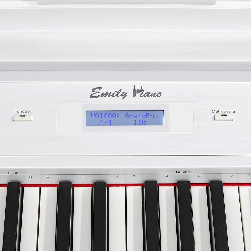 Фото Цифровое фортепиано EMILY PIANO D-22 WH