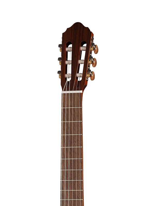 Фото Классическая гитара Cort AC120CE-OP Classic Series