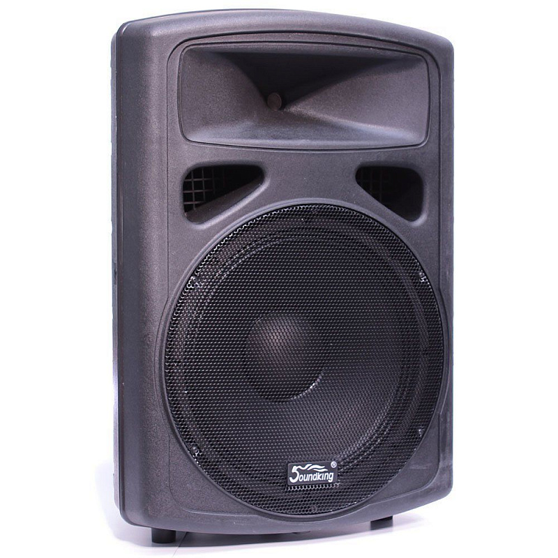 Пассивная акустическая система Soundking FP0215 в магазине Music-Hummer