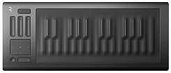 ROLI RISE 25