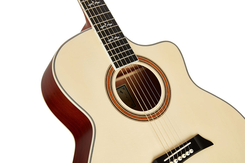 Фото Акустическая гитара NG GT500