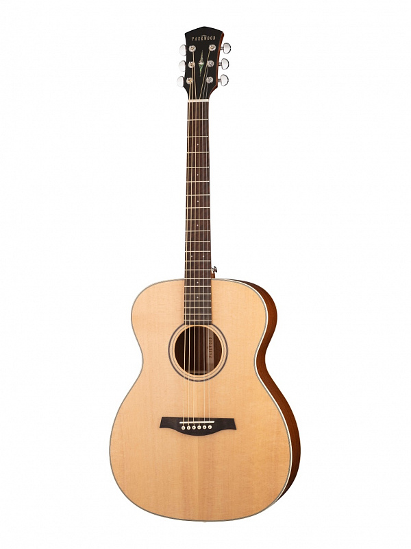 Акустическая гитара Parkwood S22-GT в магазине Music-Hummer