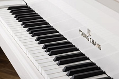 Акустический рояль Young Chang YC186E WHP