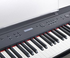 Цифровое пианино Artesia A-10 PVC