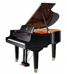 Рояль акустический Wendl&Lung W162BK