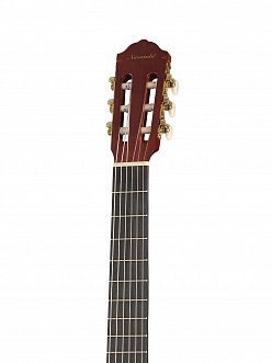 Классическая гитара Naranda CG220-4/4 в магазине Music-Hummer