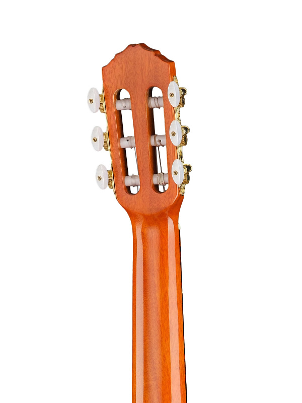 Фото Гитарлеле 6-струнный Ortega RGLE18FMH Timber Series