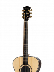 Акустическая гитара Parkwood P820
