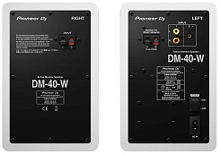 PIONEER DM-40-W