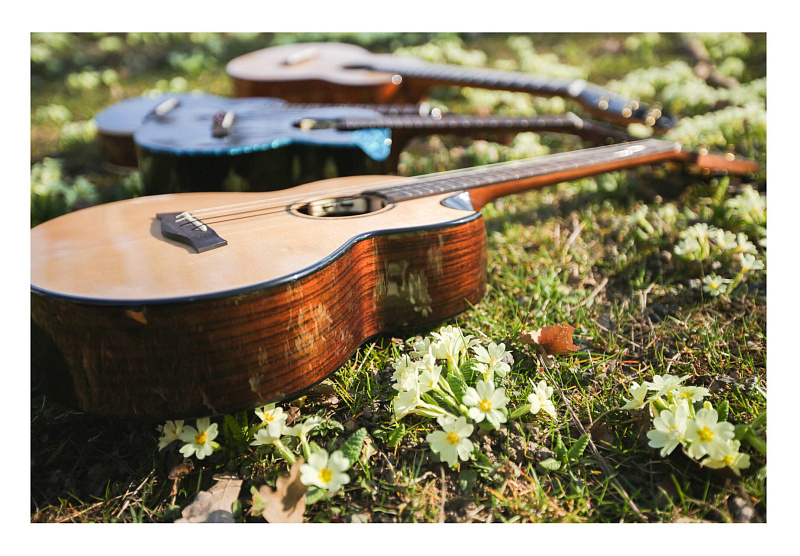 Фото Укулеле баритон FLIGHT AURORA BARITONE EQ-A