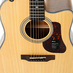 Акустическая гитара Mantic AG-370C