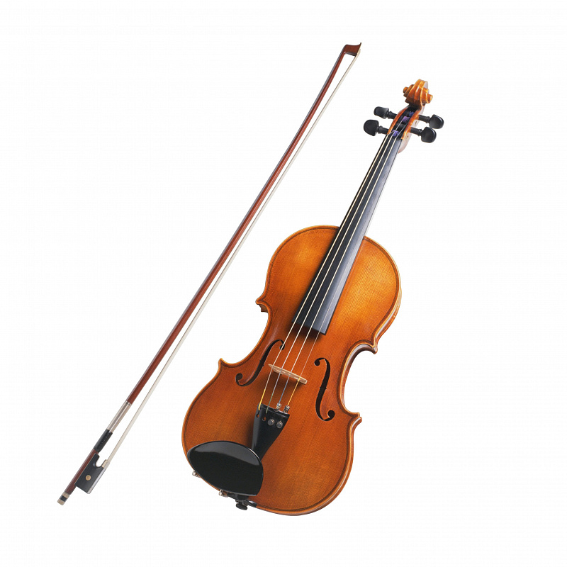 Скрипка Karl Heinlich THN-11 4/4 в магазине Music-Hummer