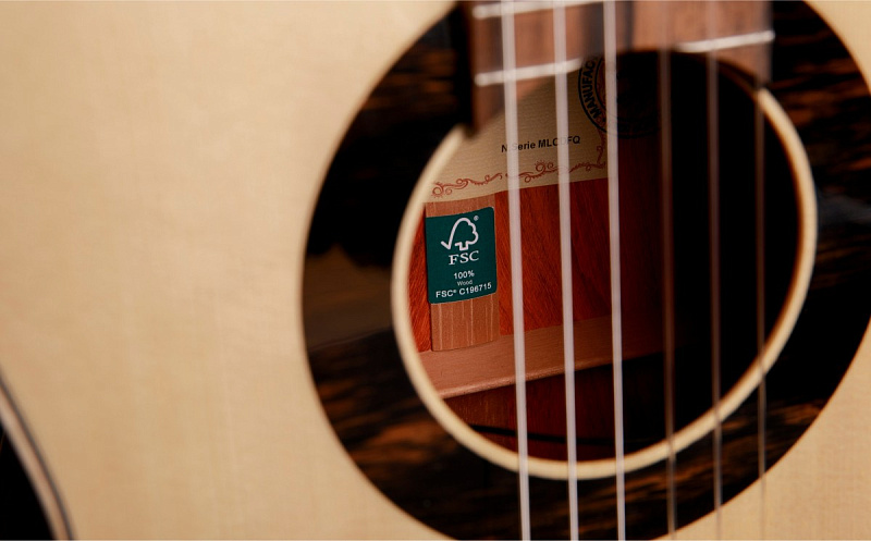 Фото Классическая гитара Alhambra Green Sustain Classical