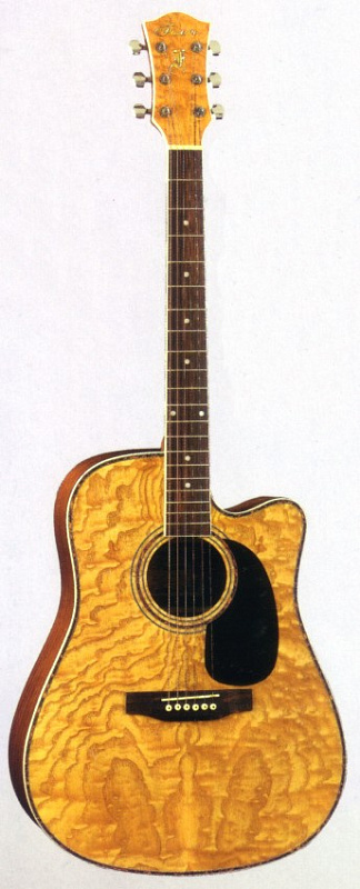 Акустическая гитара Fusion F-331C/NA в магазине Music-Hummer