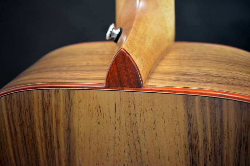 Фото Акустическая гитара TYRONE SILVER D Walnut