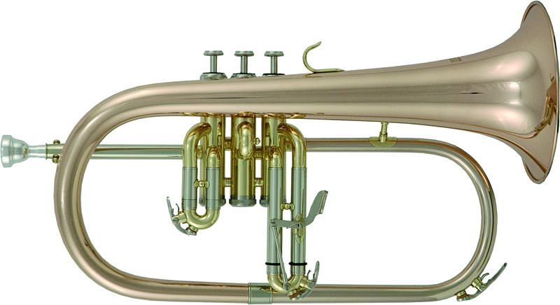 Фото ROY BENSON FH-302G Bb
