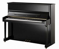 Акустическое пианино Pearl River T2 (A111) 