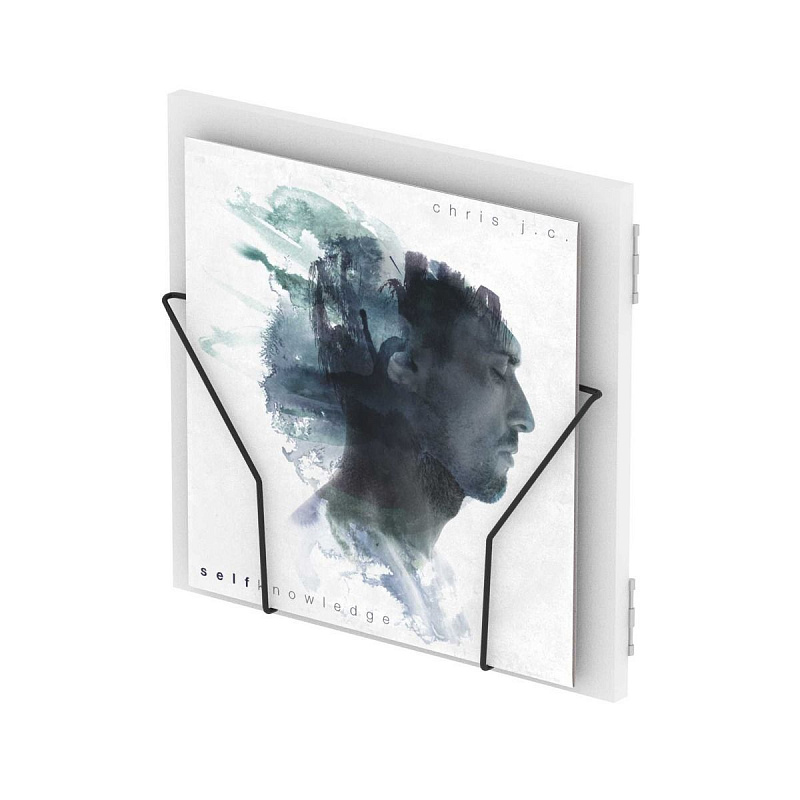 Подставка под виниловые пластинки Glorious Record Box Display Door White в магазине Music-Hummer