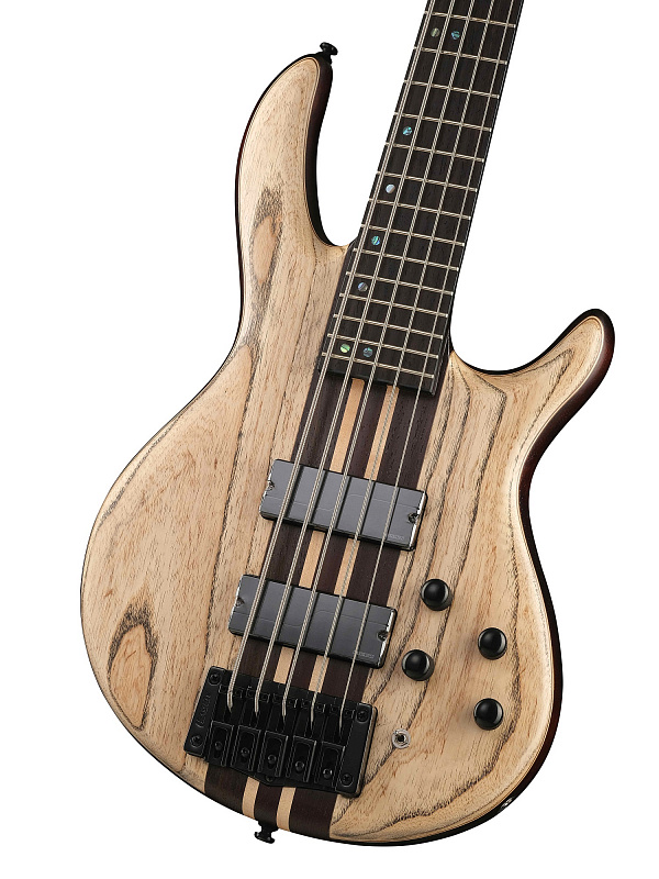 Бас-гитара Cort A5-Ultra-Ash-WCASE-ENB Artisan Series в магазине Music-Hummer