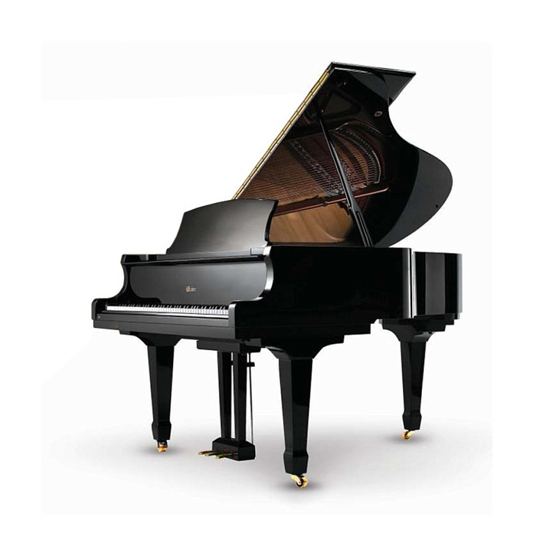 Фото Weber Professional Grand W157 черный