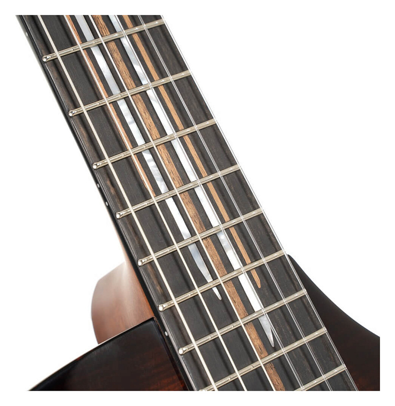 Фото Электроакустическая гитара Cort LUXE-NYLON-II-WCASE-BKB Frank Gambale Series, коричнево-чёрный берст
