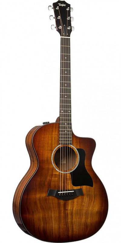 Фото TAYLOR 224ce-K DLX 200 Series Deluxe