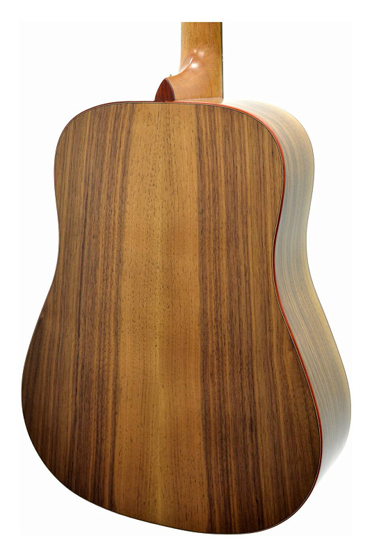 Фото Акустическая гитара TYRONE SILVER D Walnut