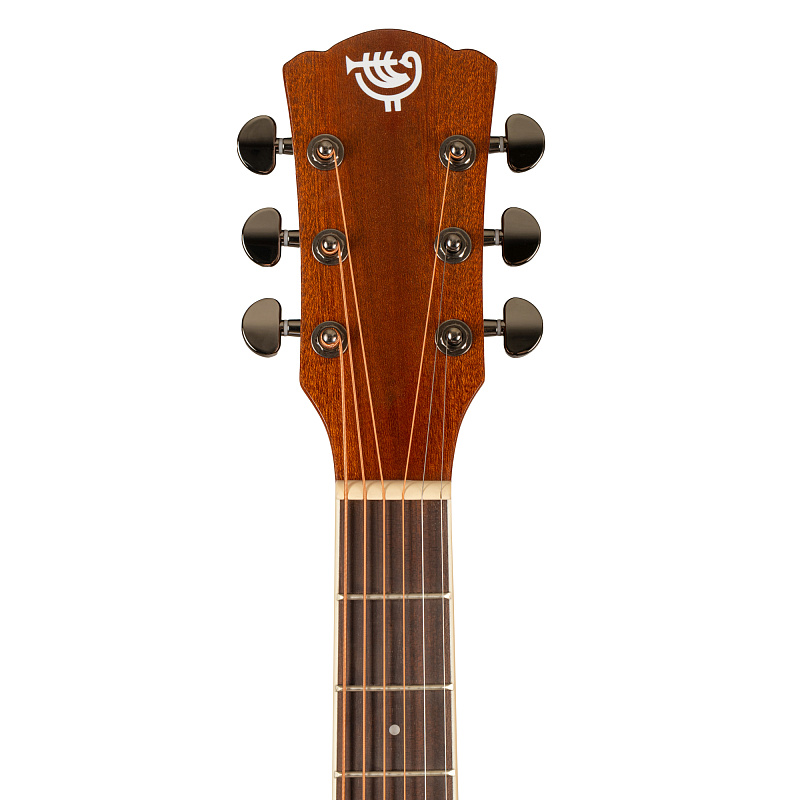 Фото Акустическая гитара ROCKDALE Aurora D6 Gloss NAT