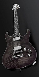 Framus Camarillo 1146831014CPAFTOTL*