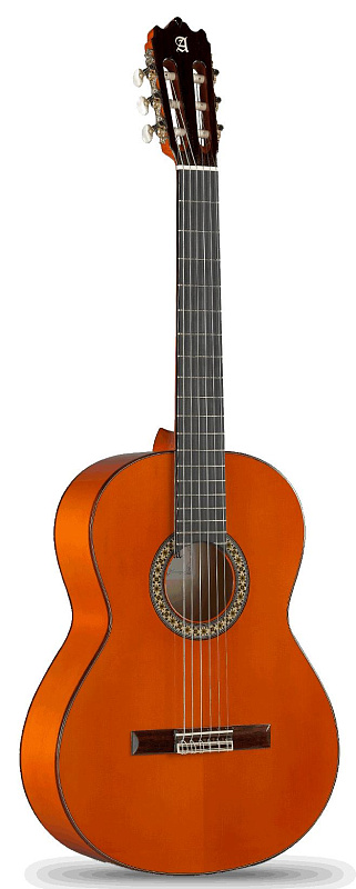 Фото Alhambra 8.209 Flamenco Conservatory 4F