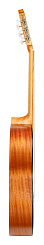 Классическая гитара Kremona Lilia Soloist Series