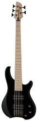 Fernandes T5X(08)BLK