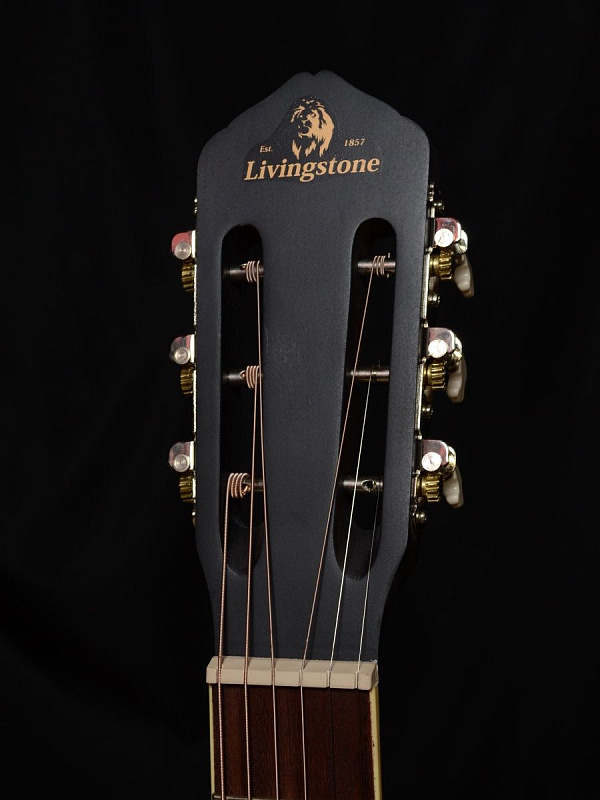 Гитара Livingstone Folkblues BK 39" с вырезом в магазине Music-Hummer