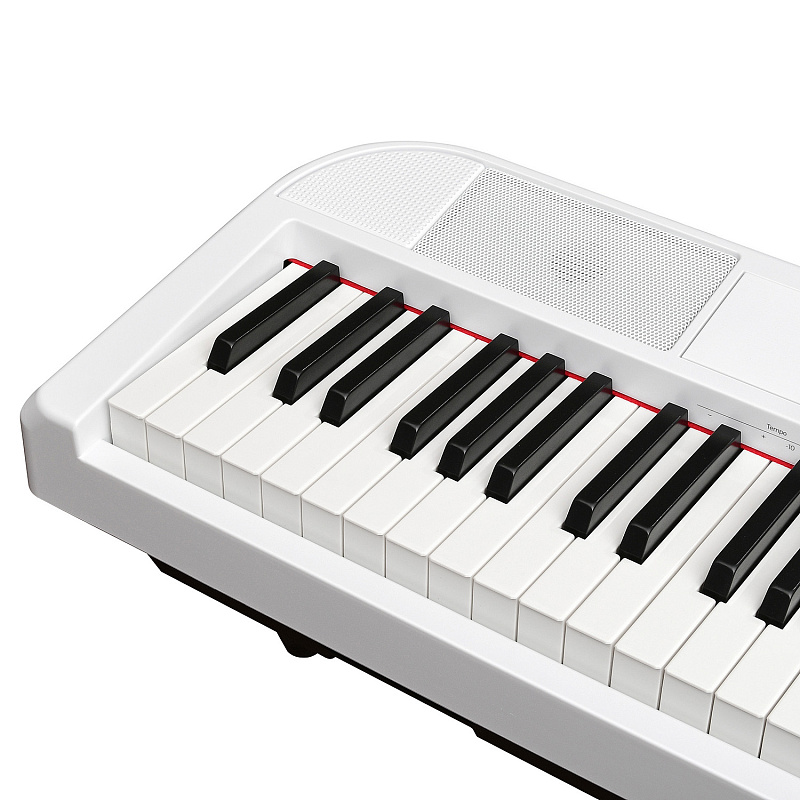 Фото Цифровое фортепиано EMILY PIANO D-22 WH