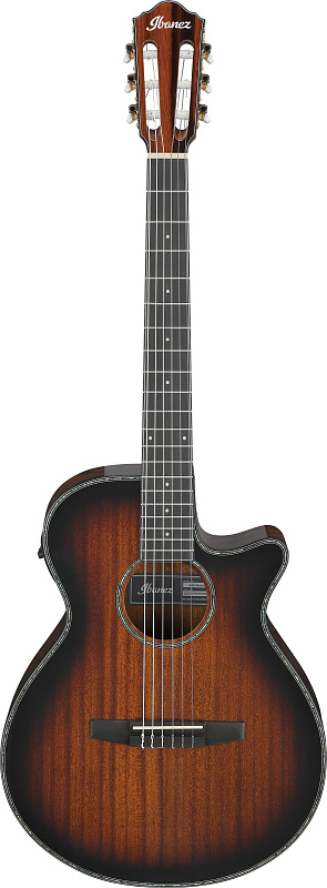 Фото Акустическая гитара IBANEZ AEG74N-MHS