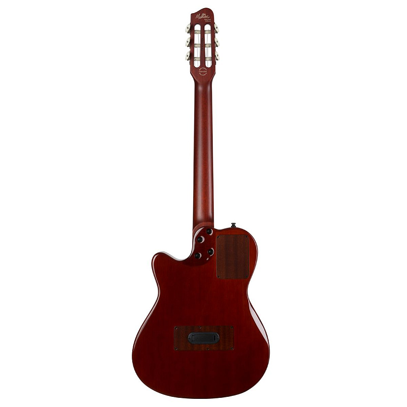 Фото Godin 032266 MultiAc Nylon Duet Ambiance
