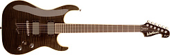 Washburn X50PROFE