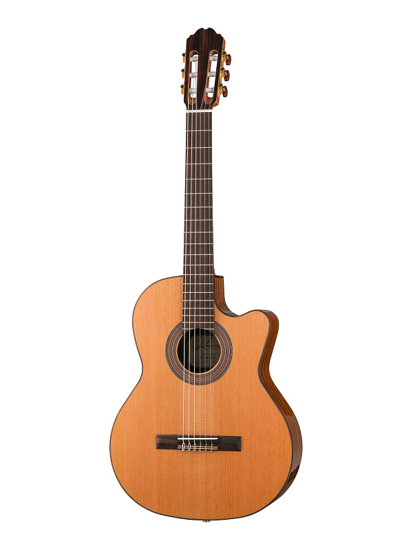 Фото Электро-акустическая гитара Kremona F65CW Performer Series Fiest