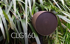 Всепогодные акустические системы Monitor Audio Climate CLG160 Brown 