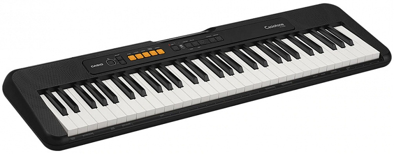 Фото Casio CT-S100
