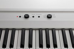 Цифровое пианино KORG L1 PW
