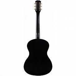 Акустическая гитара TERRIS TF-3805A BK
