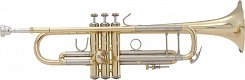 Труба Bb BACH 180S37G Stradivarius