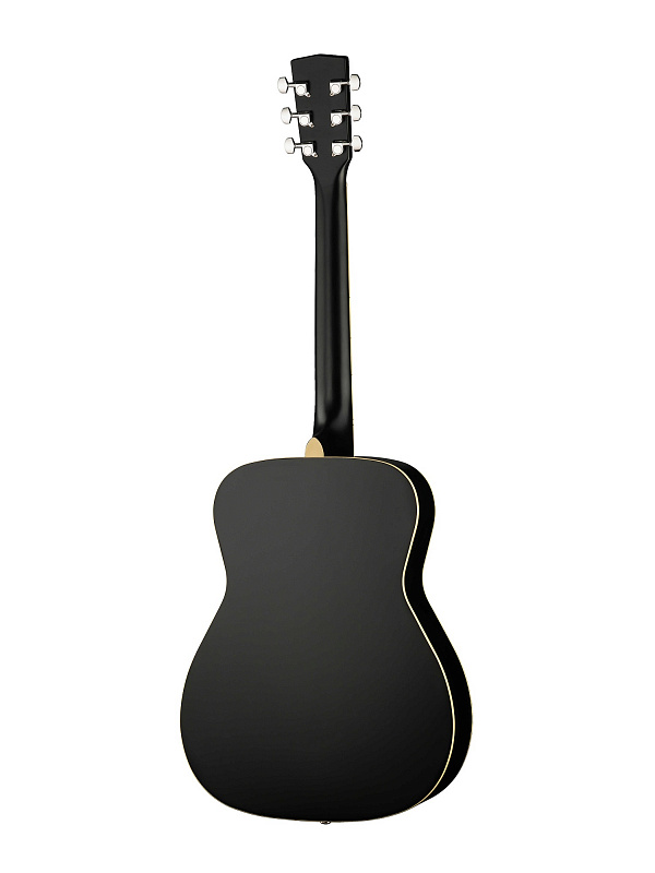 Акустическая гитара Parkwood PF51-WBAG-BKS в магазине Music-Hummer